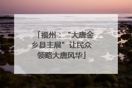 福州：“大唐金乡县主展”让民众领略大唐风华