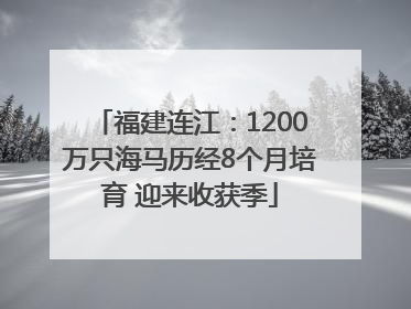 福建连江：1200万只海马历经8个月培育 迎来收获季