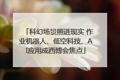 科幻场景照进现实 作业机器人、低空科技、AI应用成西博会焦点