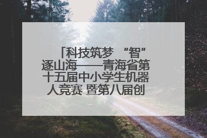 科技筑梦 “智”逐山海——青海省第十五届中小学生机器人竞赛 暨第八届创新设计大赛见闻