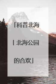科普北海丨北海公园的合欢