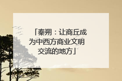 秦朔：让商丘成为中西方商业文明交流的地方
