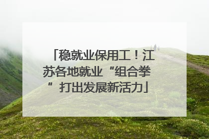 稳就业保用工！江苏各地就业“组合拳”打出发展新活力