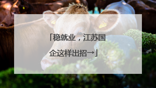 稳就业，江苏国企这样出招→