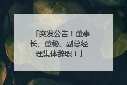 突发公告！董事长、董秘、副总经理集体辞职！