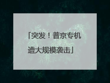 突发！普京专机遭大规模袭击