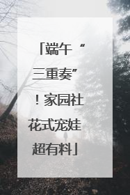 端午“三重奏”！家园社花式宠娃超有料
