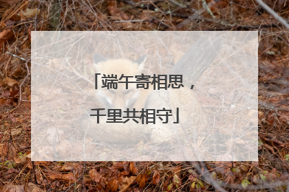端午寄相思，千里共相守