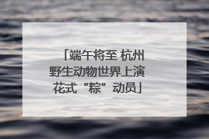 端午将至 杭州野生动物世界上演花式“粽”动员