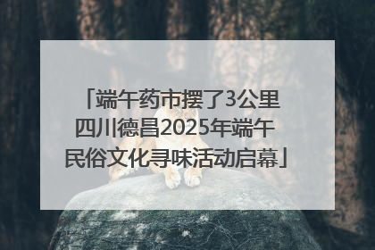 端午药市摆了3公里 四川德昌2025年端午民俗文化寻味活动启幕