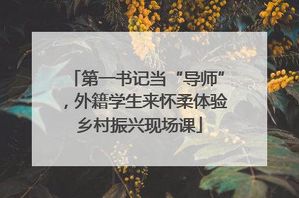 第一书记当“导师”，外籍学生来怀柔体验乡村振兴现场课