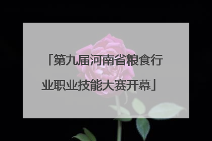 第九届河南省粮食行业职业技能大赛开幕