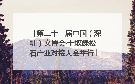 第二十一届中国（深圳）文博会·十堰绿松石产业对接大会举行