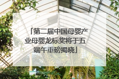 第二届中国母婴产业母婴龙标奖将于五端午重磅揭晓