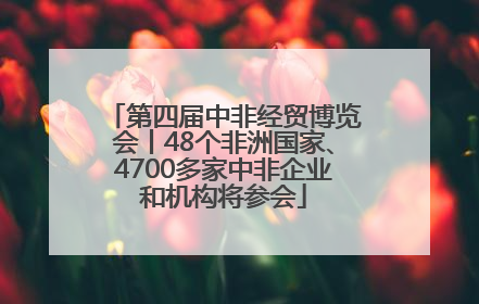 第四届中非经贸博览会丨48个非洲国家、4700多家中非企业和机构将参会