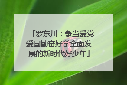 罗东川：争当爱党爱国勤奋好学全面发展的新时代好少年