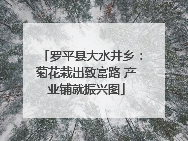 罗平县大水井乡：菊花栽出致富路 产业铺就振兴图