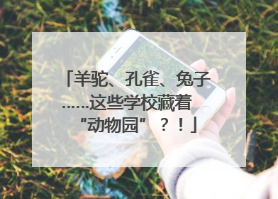 羊驼、孔雀、兔子……这些学校藏着 “动物园”？！