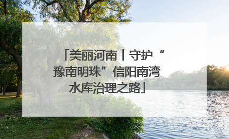 美丽河南丨守护“豫南明珠”信阳南湾水库治理之路
