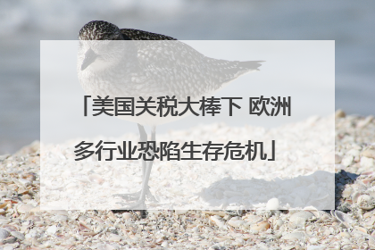 美国关税大棒下 欧洲多行业恐陷生存危机