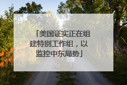 美国证实正在组建特别工作组，以监控中东局势