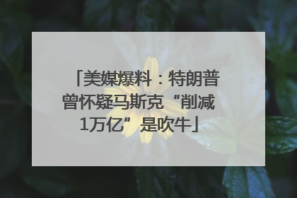 美媒爆料：特朗普曾怀疑马斯克“削减1万亿”是吹牛