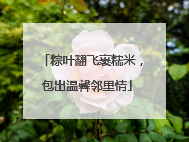 粽叶翻飞裹糯米，包出温馨邻里情