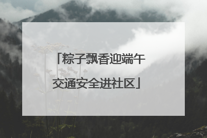 粽子飘香迎端午 交通安全进社区
