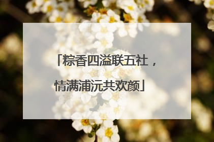 粽香四溢联五社，情满浦沅共欢颜