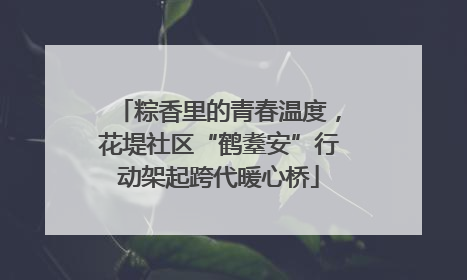 粽香里的青春温度，花堤社区“鹤耋安”行动架起跨代暖心桥