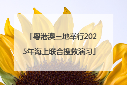 粤港澳三地举行2025年海上联合搜救演习