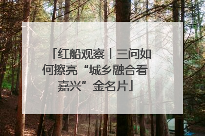 红船观察丨三问如何擦亮“城乡融合看嘉兴”金名片
