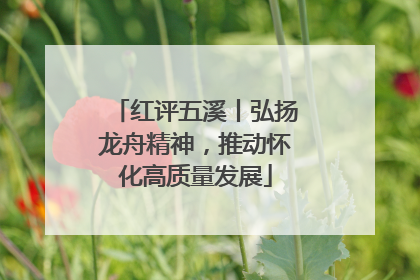 红评五溪丨弘扬龙舟精神，推动怀化高质量发展