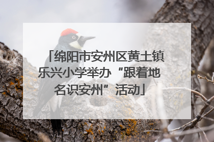 绵阳市安州区黄土镇乐兴小学举办“跟着地名识安州”活动