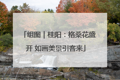 组图｜桂阳：格桑花盛开 如画美景引客来