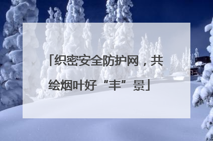 织密安全防护网，共绘烟叶好“丰”景