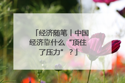 经济随笔丨中国经济靠什么“顶住了压力”？