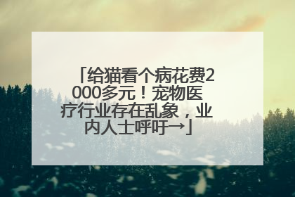 给猫看个病花费2000多元！宠物医疗行业存在乱象，业内人士呼吁→