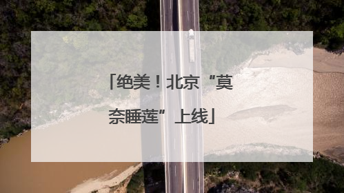 绝美！北京“莫奈睡莲”上线