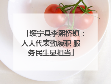 绥宁县李熙桥镇：人大代表勤履职 服务民生显担当