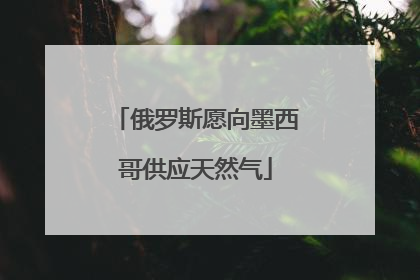 俄罗斯愿向墨西哥供应天然气