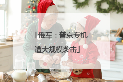 俄军：普京专机遭大规模袭击