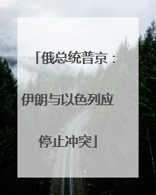 俄总统普京：伊朗与以色列应停止冲突