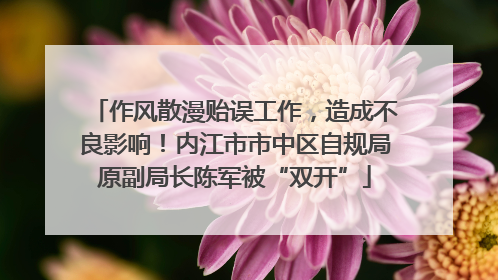 作风散漫贻误工作，造成不良影响！内江市市中区自规局原副局长陈军被“双开”