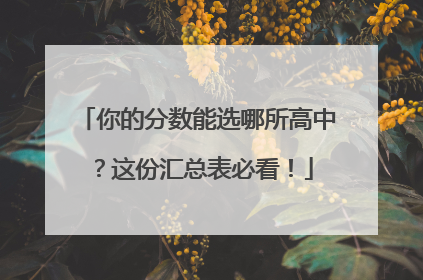 你的分数能选哪所高中？这份汇总表必看！