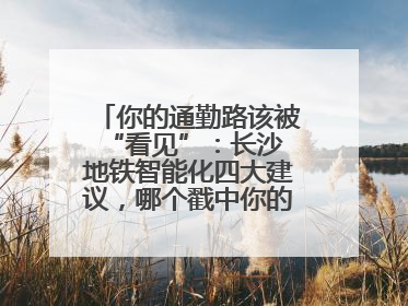 你的通勤路该被 “看见”：长沙地铁智能化四大建议，哪个戳中你的出行痛点？