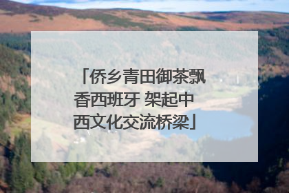 侨乡青田御茶飘香西班牙 架起中西文化交流桥梁
