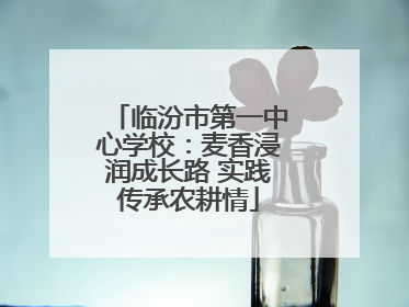 临汾市第一中心学校：麦香浸润成长路 实践传承农耕情
