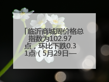 临沂商城周价格总指数为102.97点，环比下跌0.31点（5月29日—6月4日）