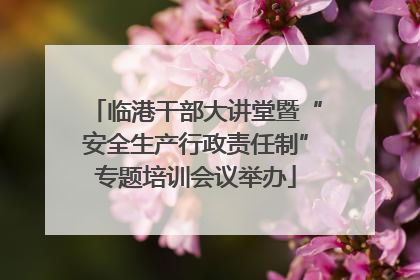 临港干部大讲堂暨“安全生产行政责任制”专题培训会议举办